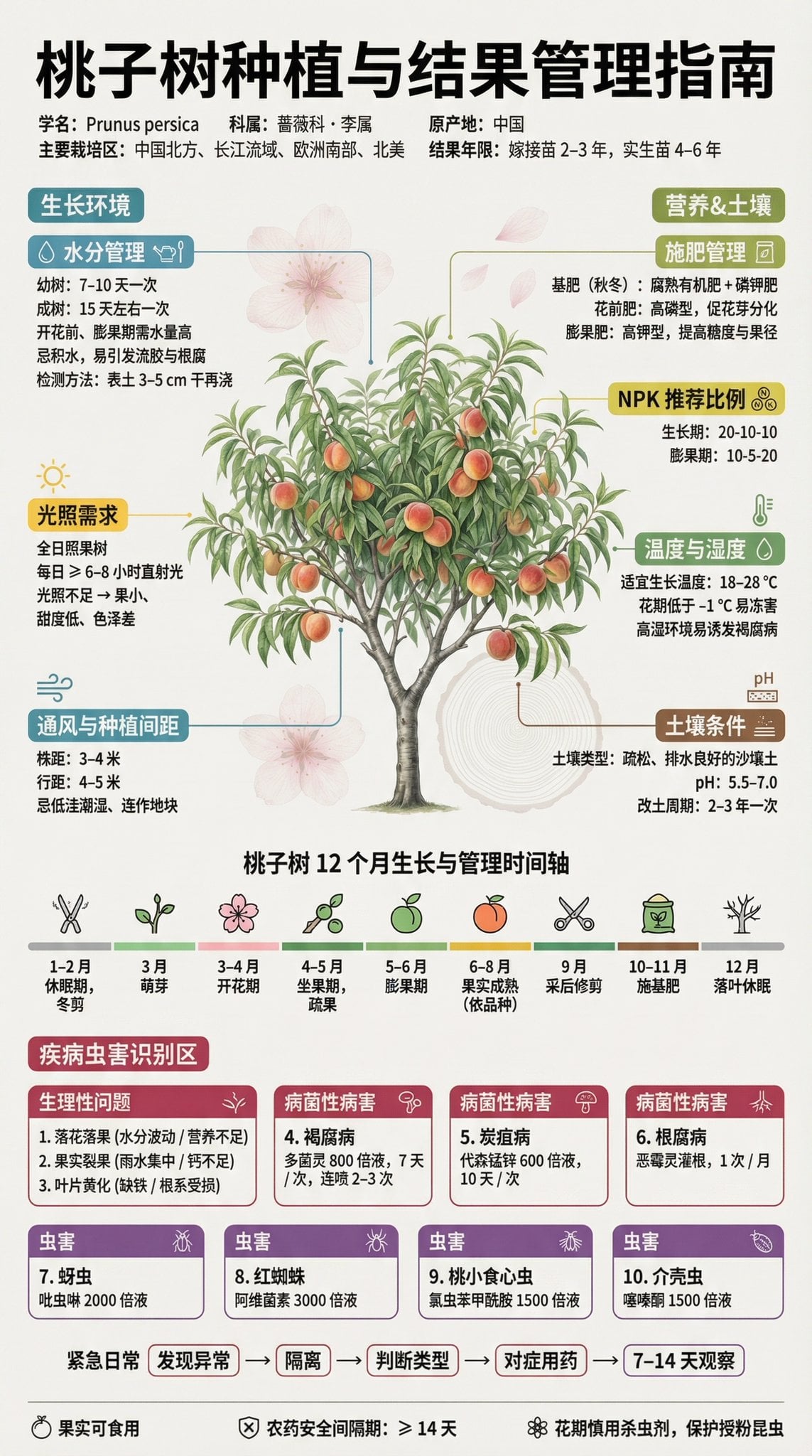 Fruit Tree Cultivation and Management Guide Poster — image 2