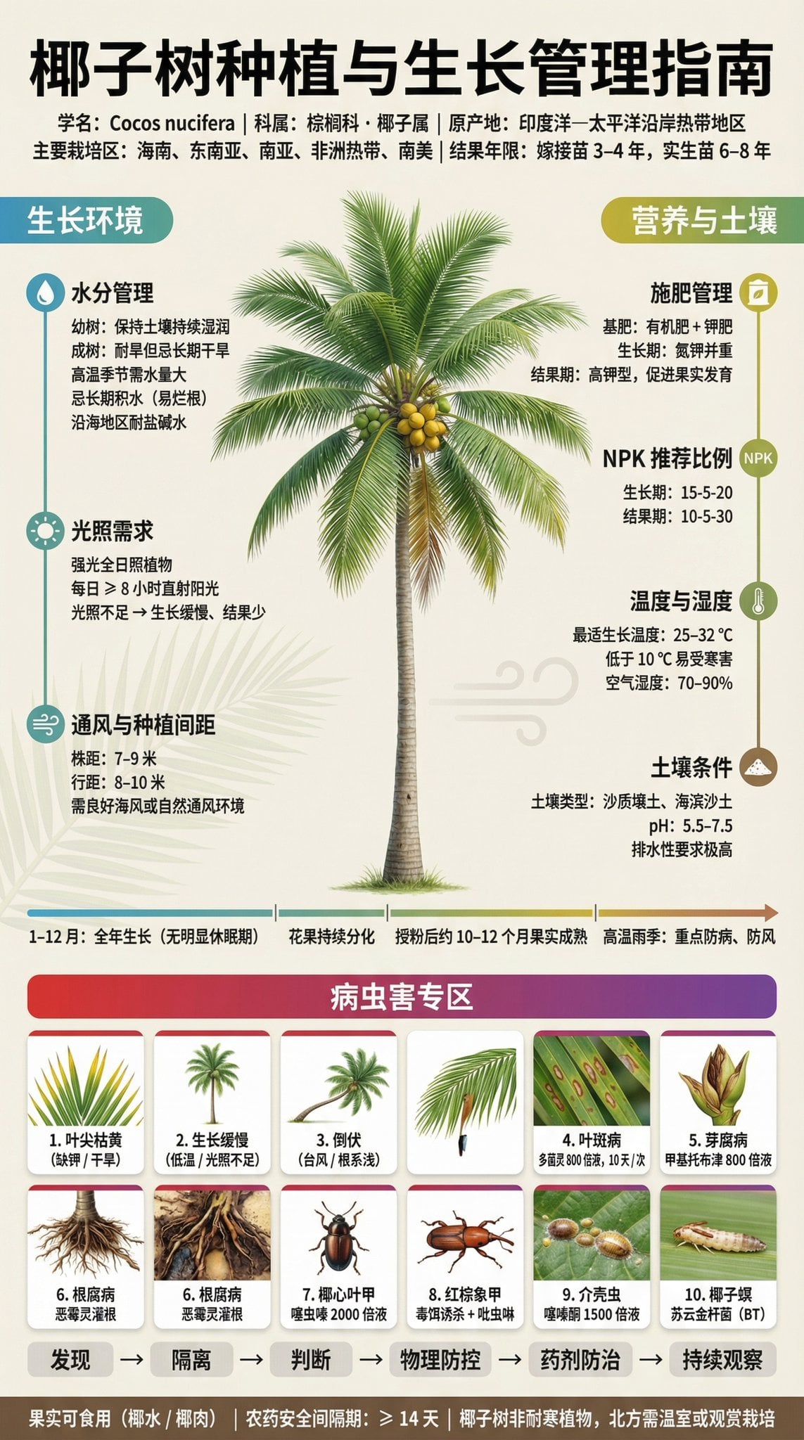 Fruit Tree Cultivation and Management Guide Poster — image 3