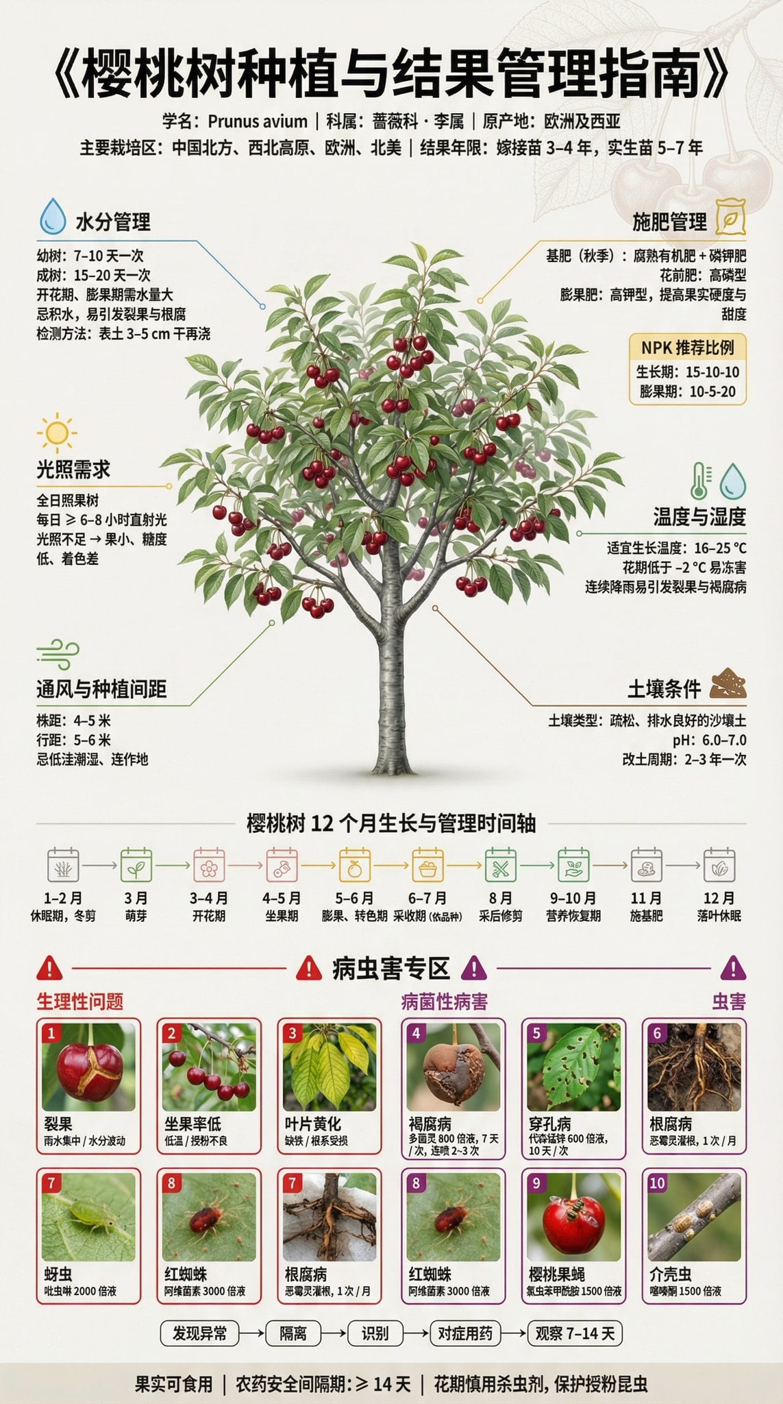Fruit Tree Cultivation and Management Guide Poster — image 4